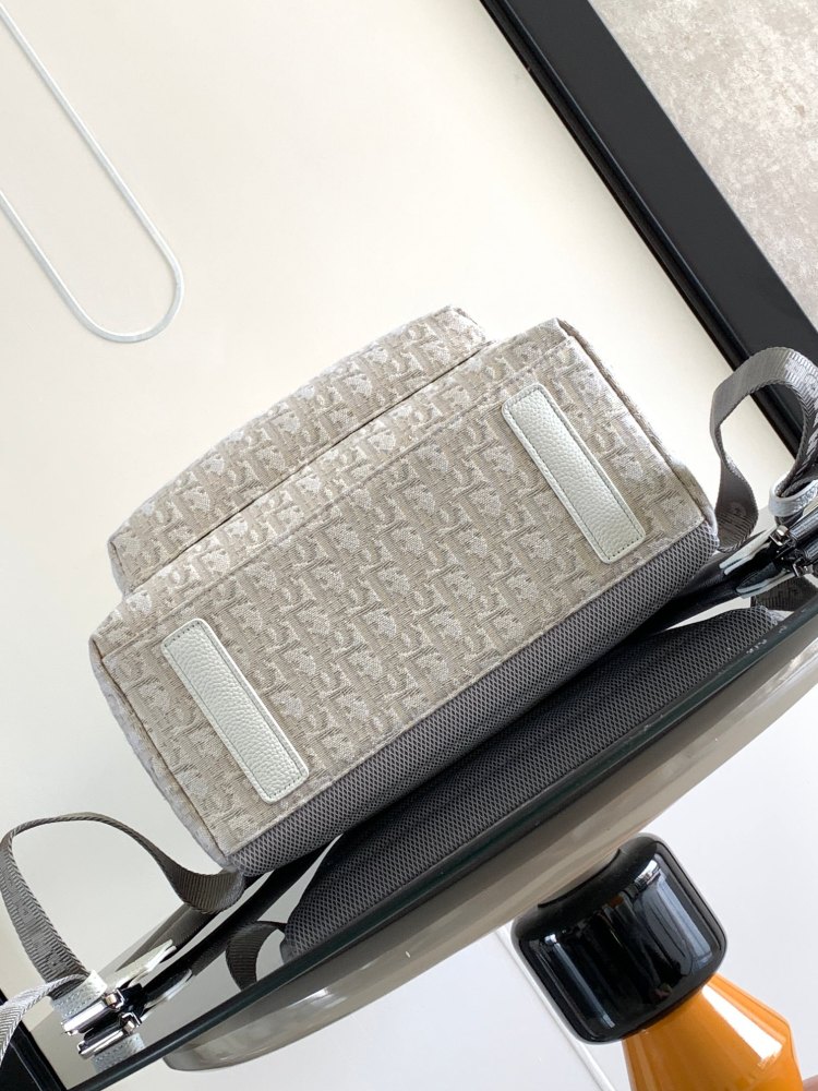 Dior manbag