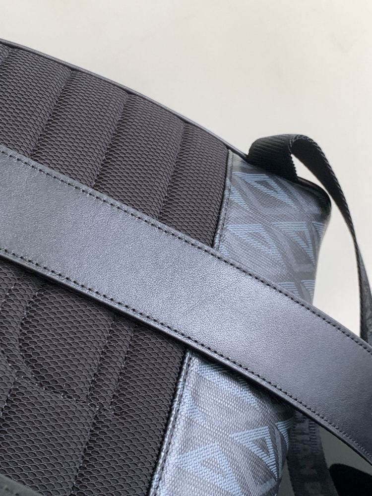 Dior manbag