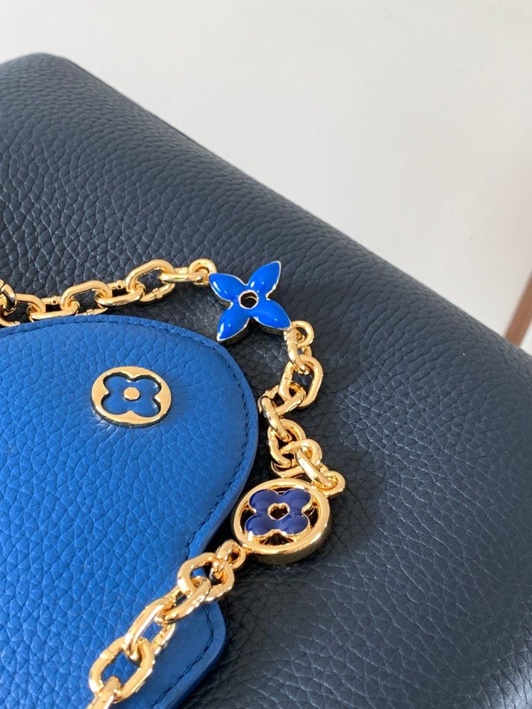 LV Capucines