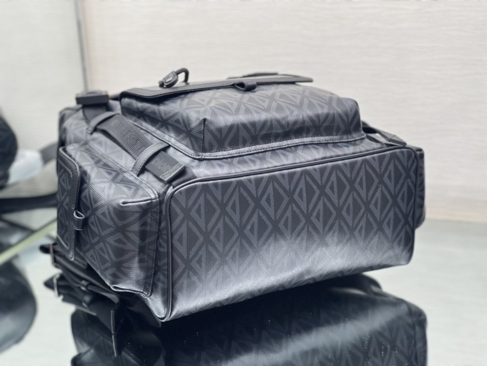 Dior manbag
