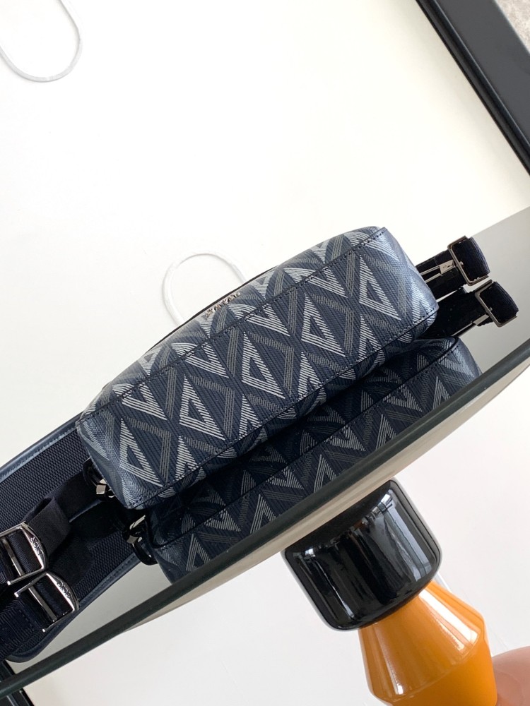 Dior manbag