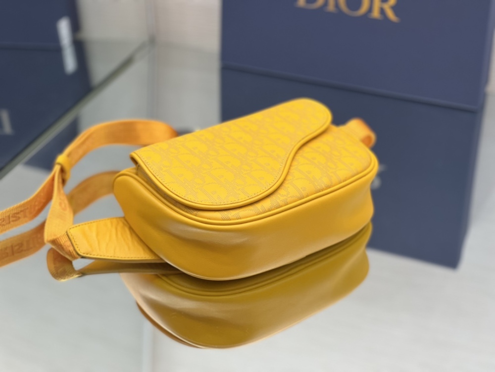 Dior manbag