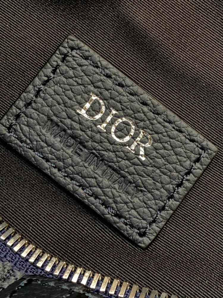 Dior manbag