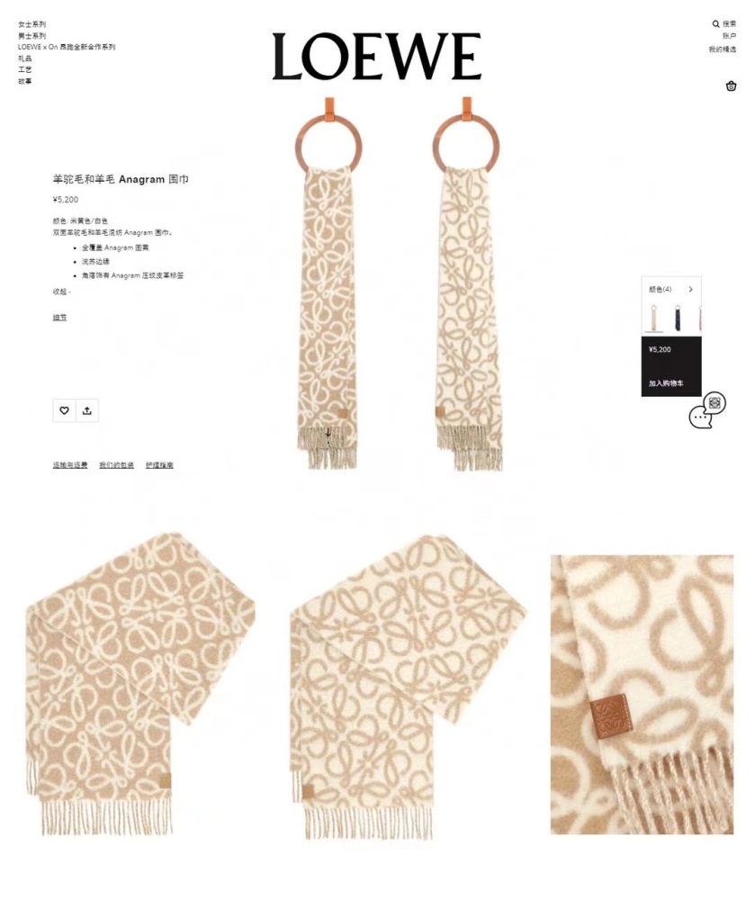 LOEWE Scarf