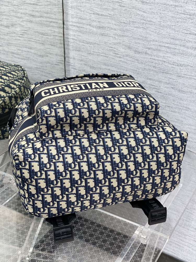 Dior manbag