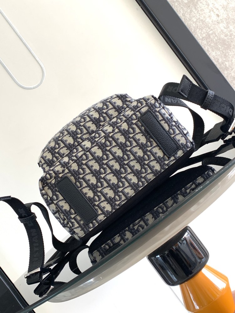 Dior manbag