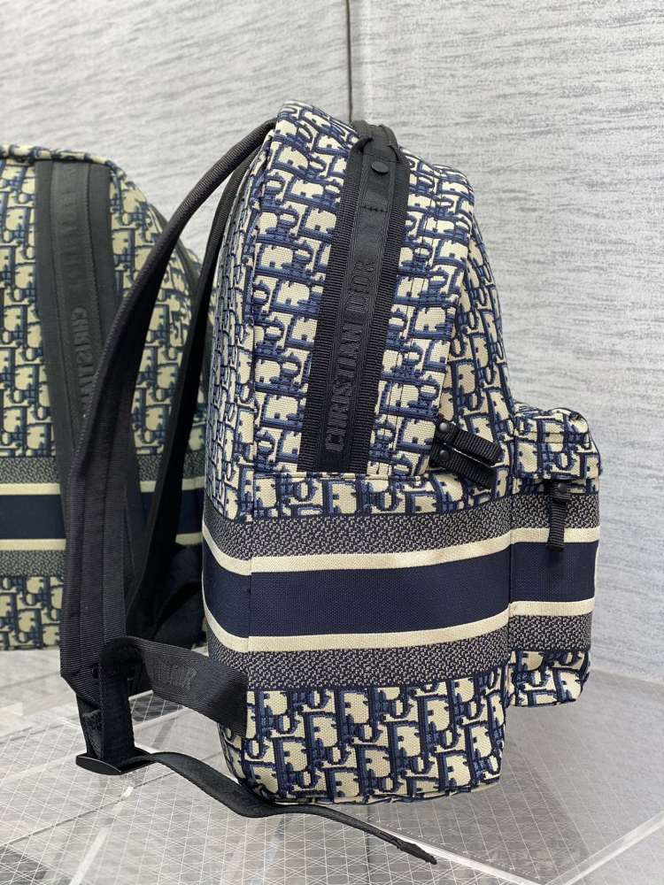 Dior manbag