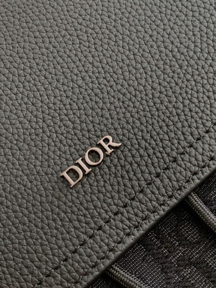 Dior manbag