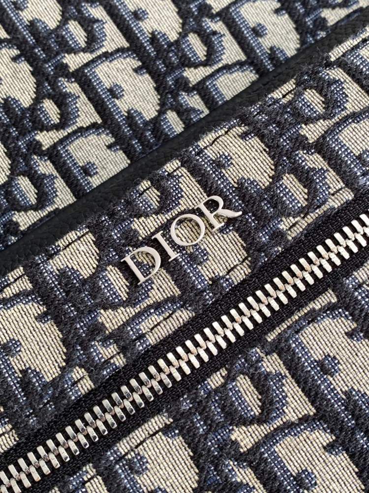 Dior manbag