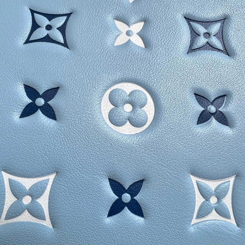 LV  Coussin M22953