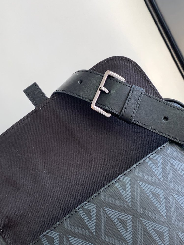 Dior manbag