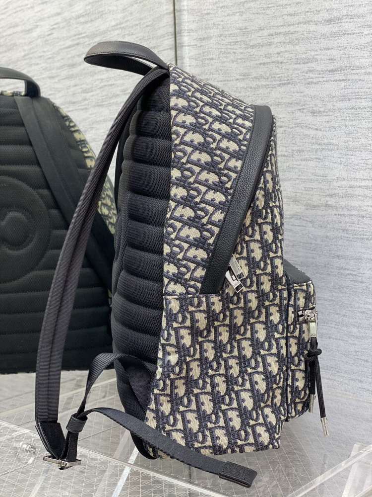 Dior manbag