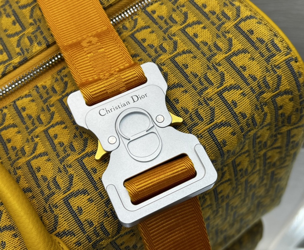 Dior manbag