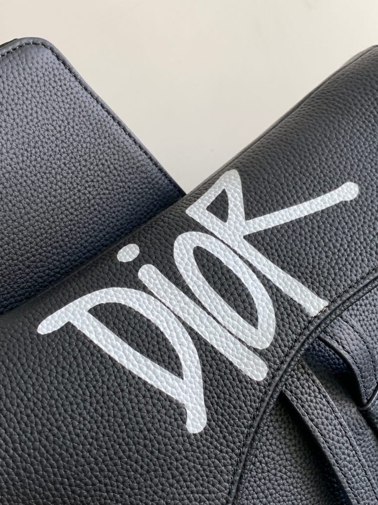 Dior manbag