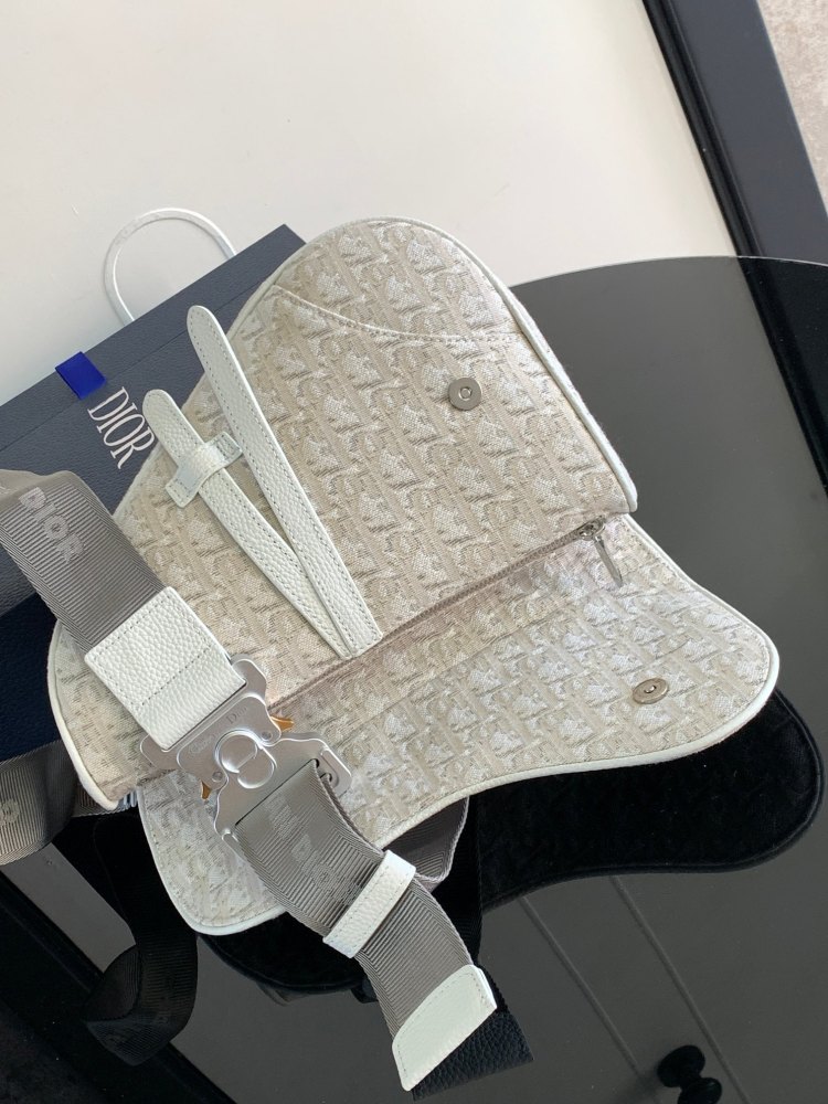 Dior manbag