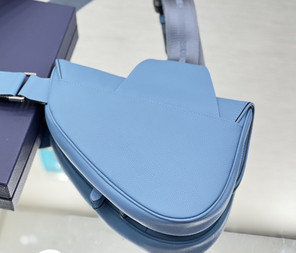 Dior manbag