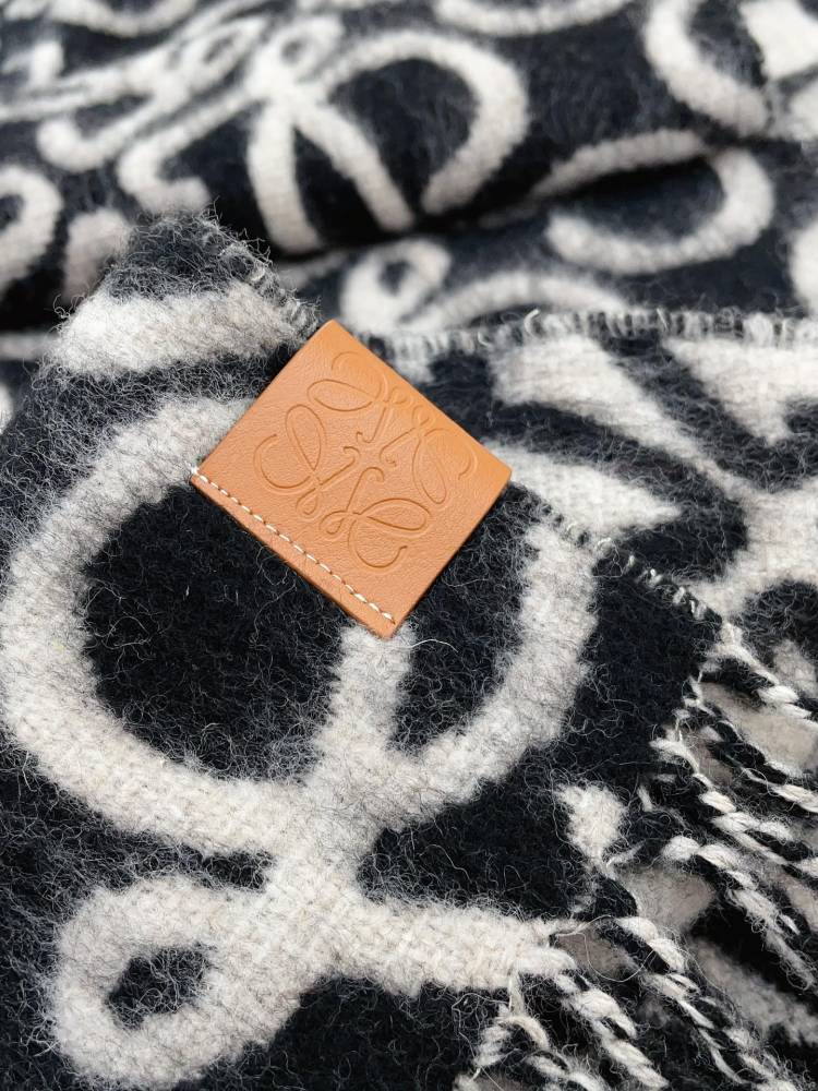 LOEWE Scarf