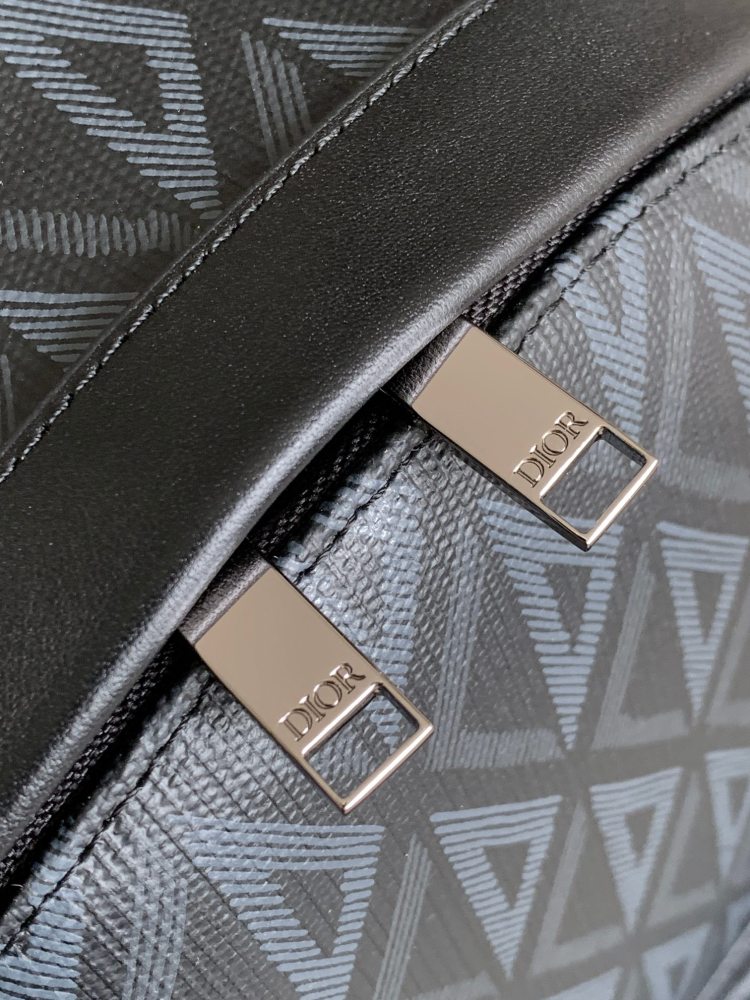 Dior manbag