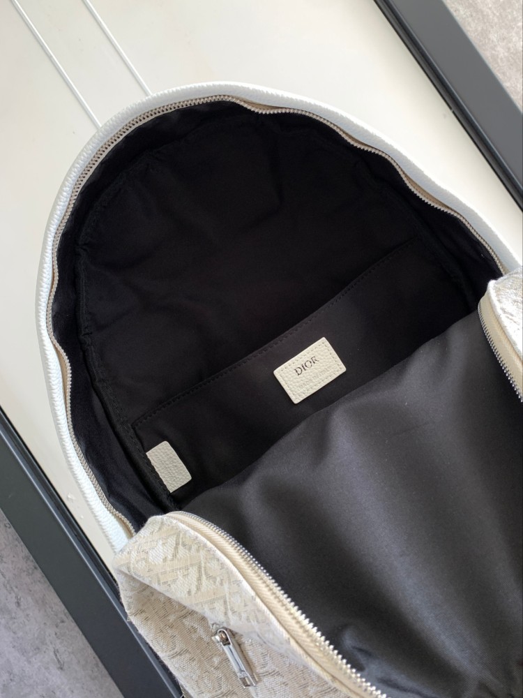 Dior manbag