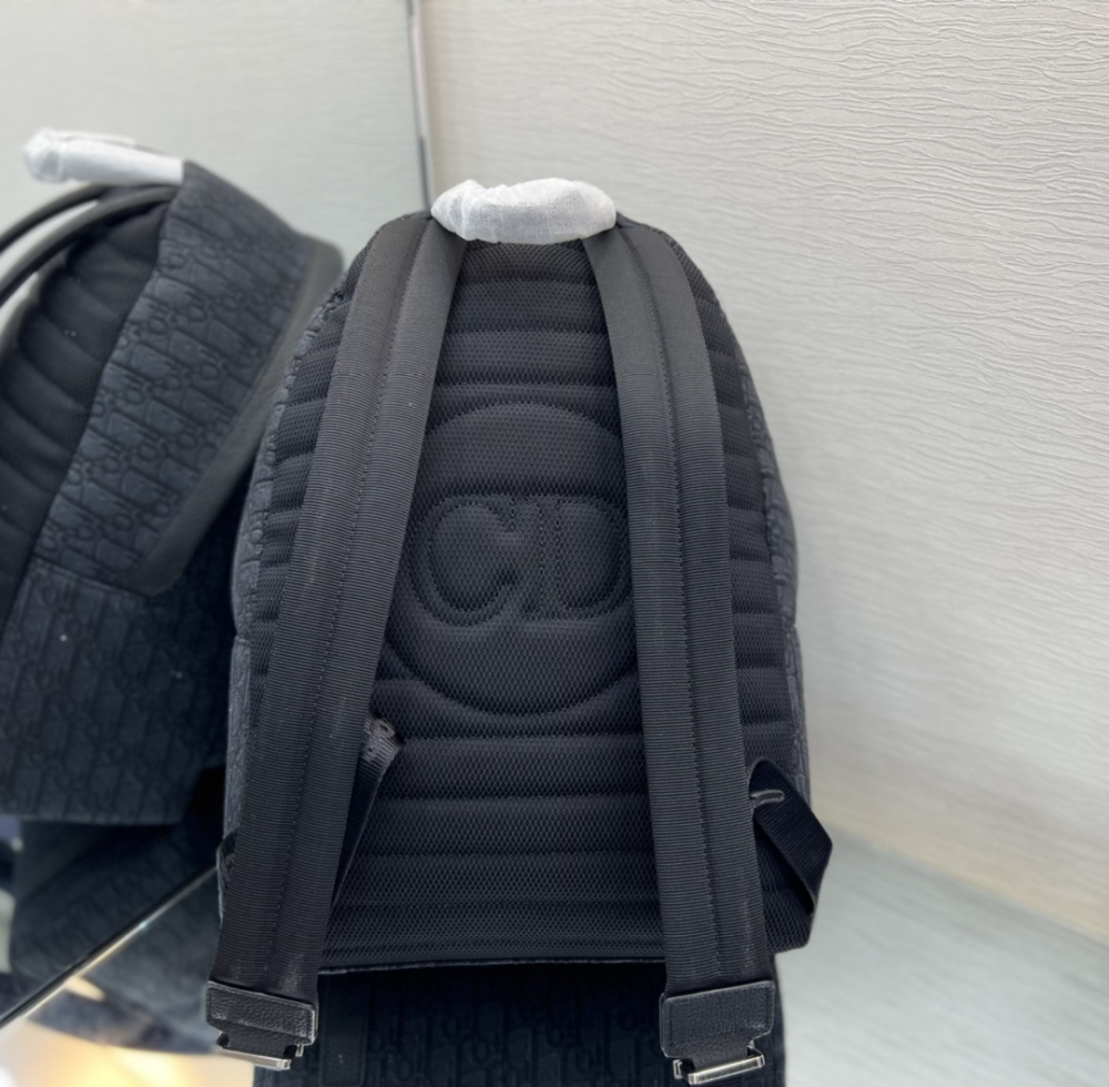 Dior manbag