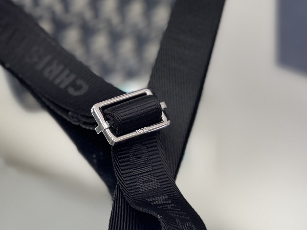 Dior manbag