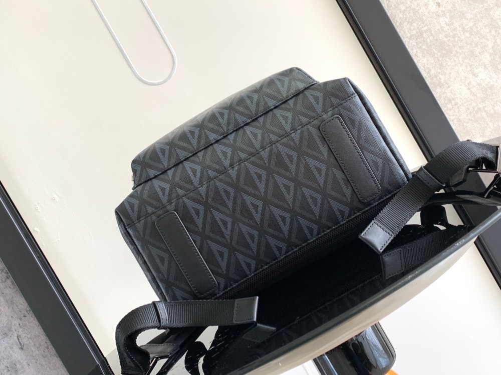 Dior manbag