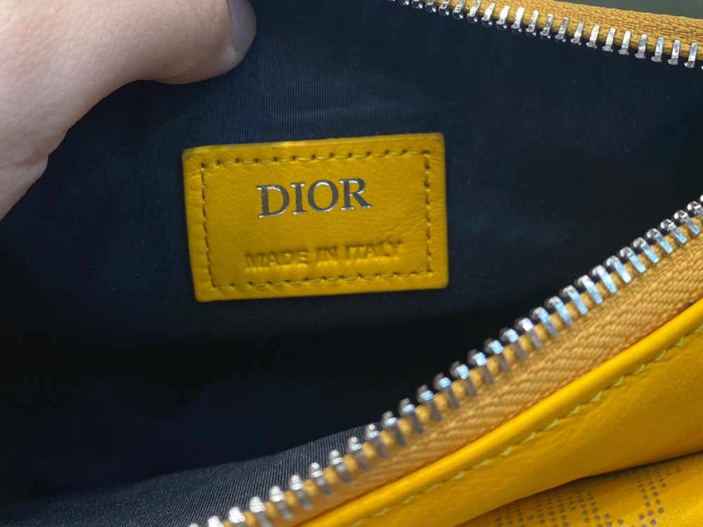 Dior manbag