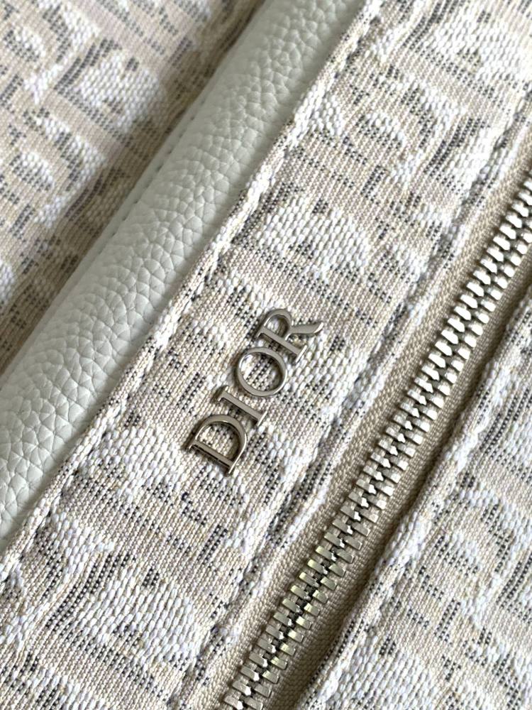 Dior manbag