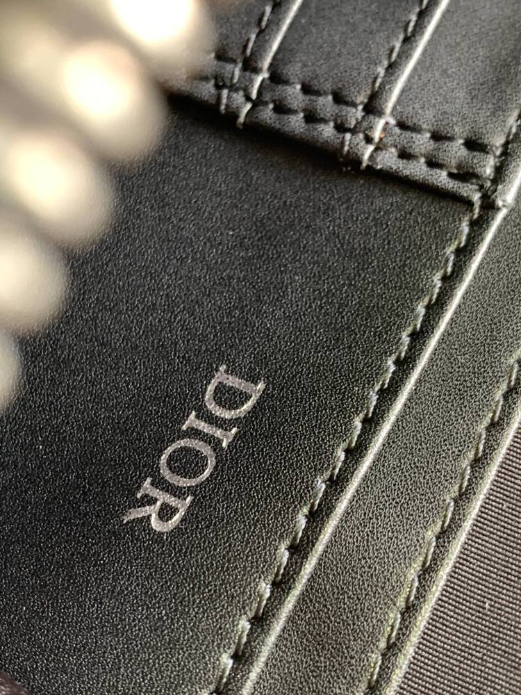Dior manbag
