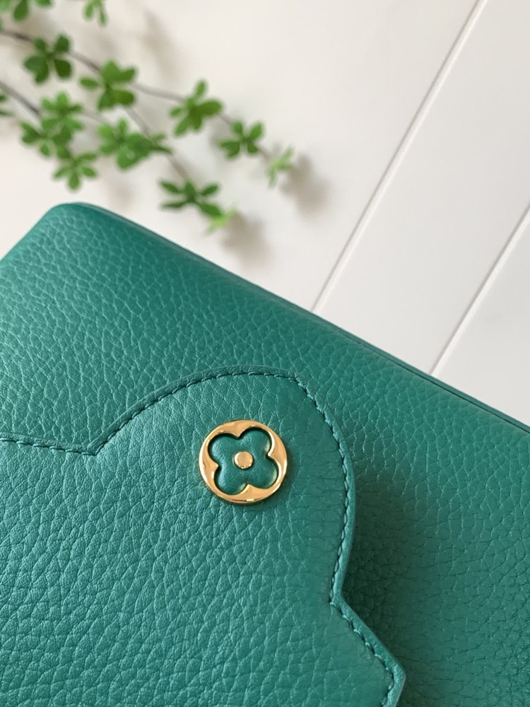 LV Capucines