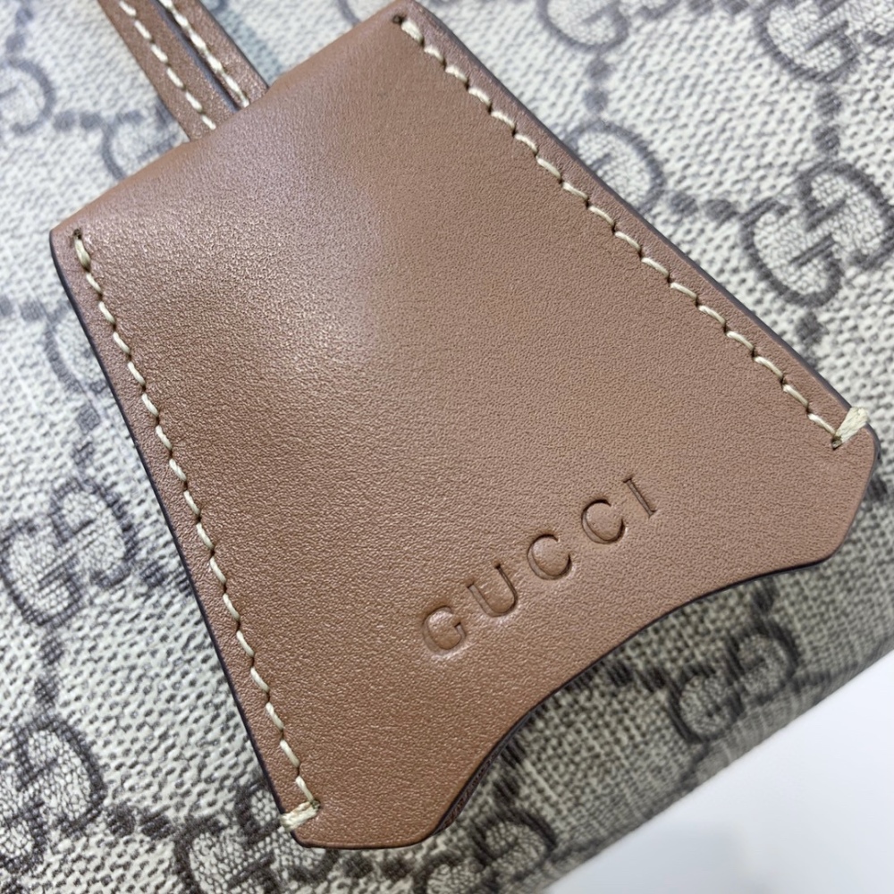Gucci  size 26*18*10