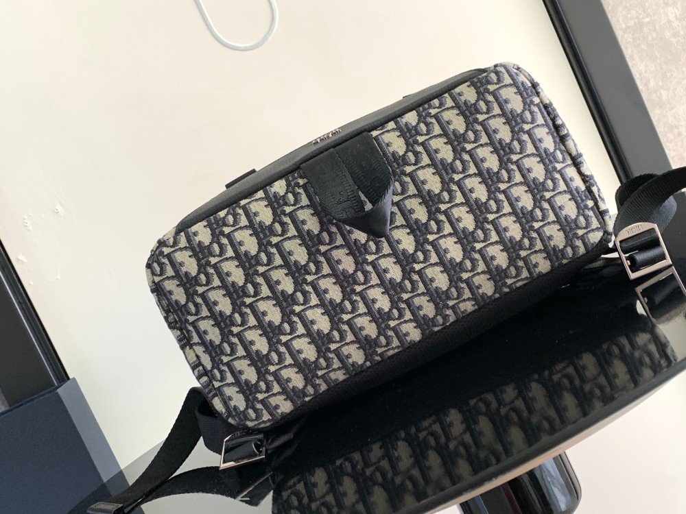Dior manbag