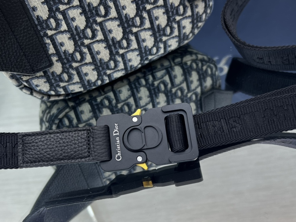 Dior manbag