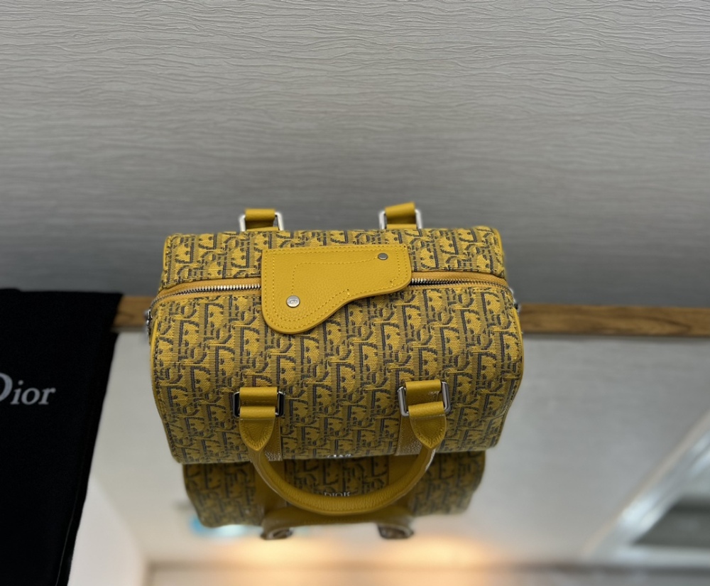 Dior manbag