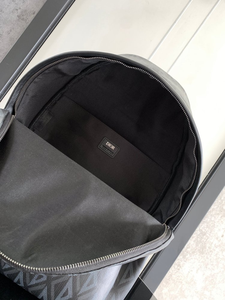 Dior manbag