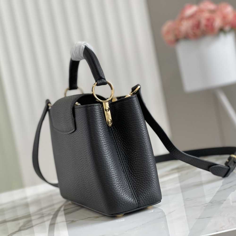 Louis Vuitton Capucines mini M42259
