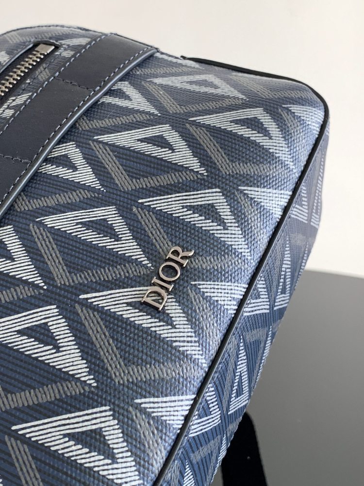 Dior manbag