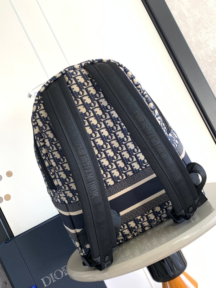 Dior manbag