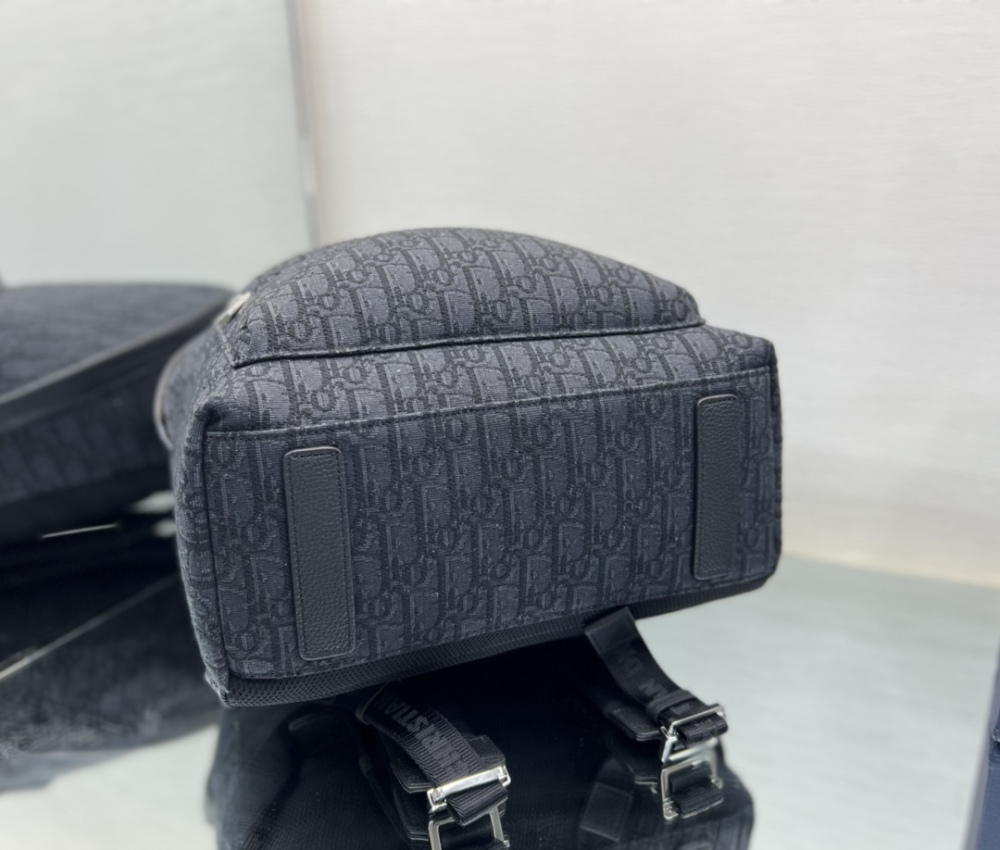 Dior manbag