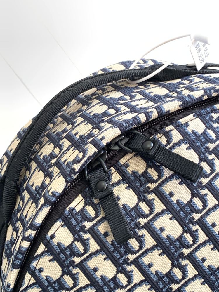 Dior manbag