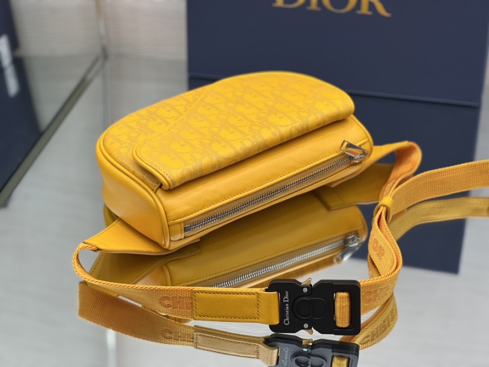 Dior manbag