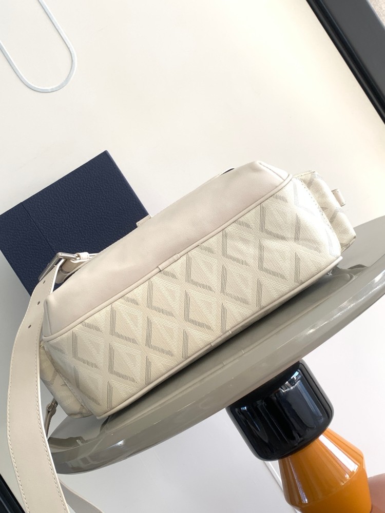 Dior manbag