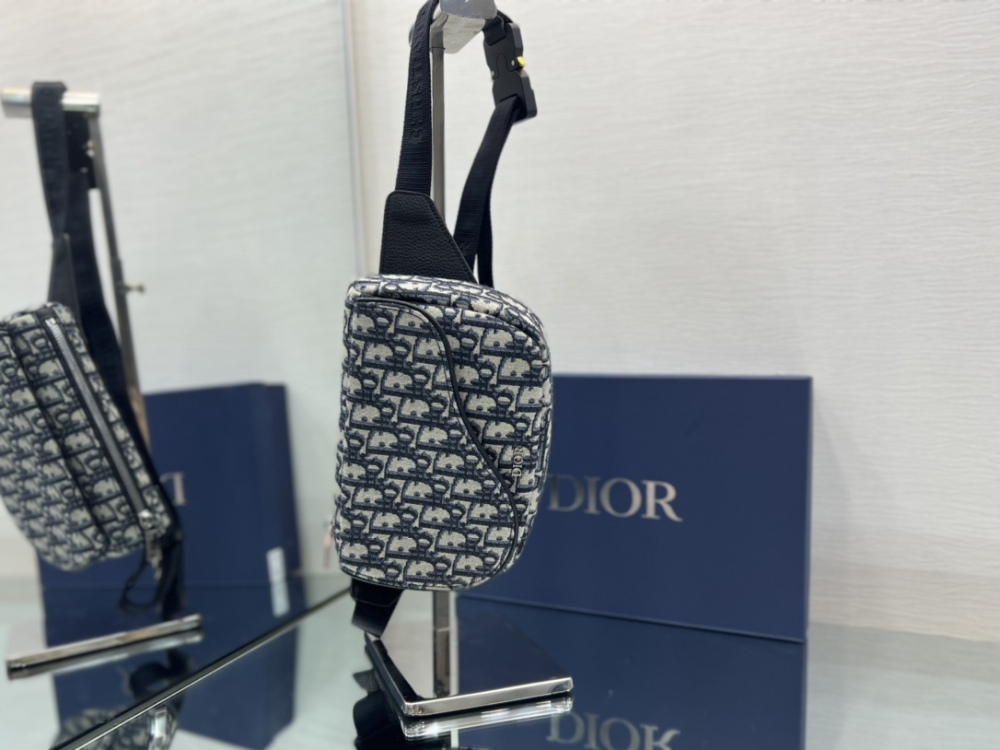 Dior manbag