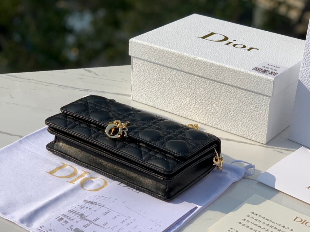 Dior bag Lady