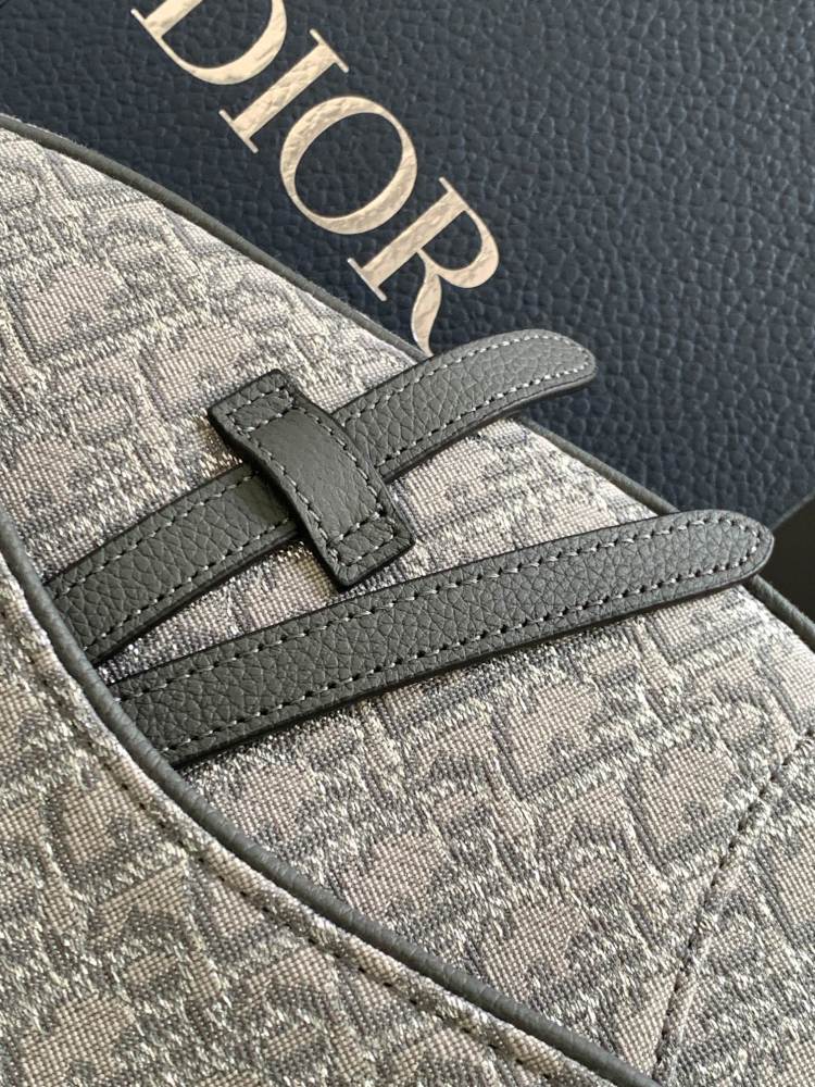 Dior manbag