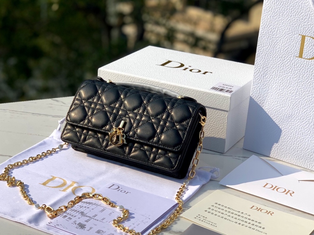 Dior bag Lady