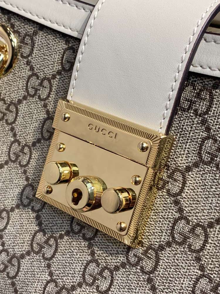 Gucci  size 26*18*10