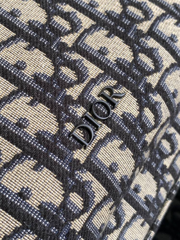 Dior manbag