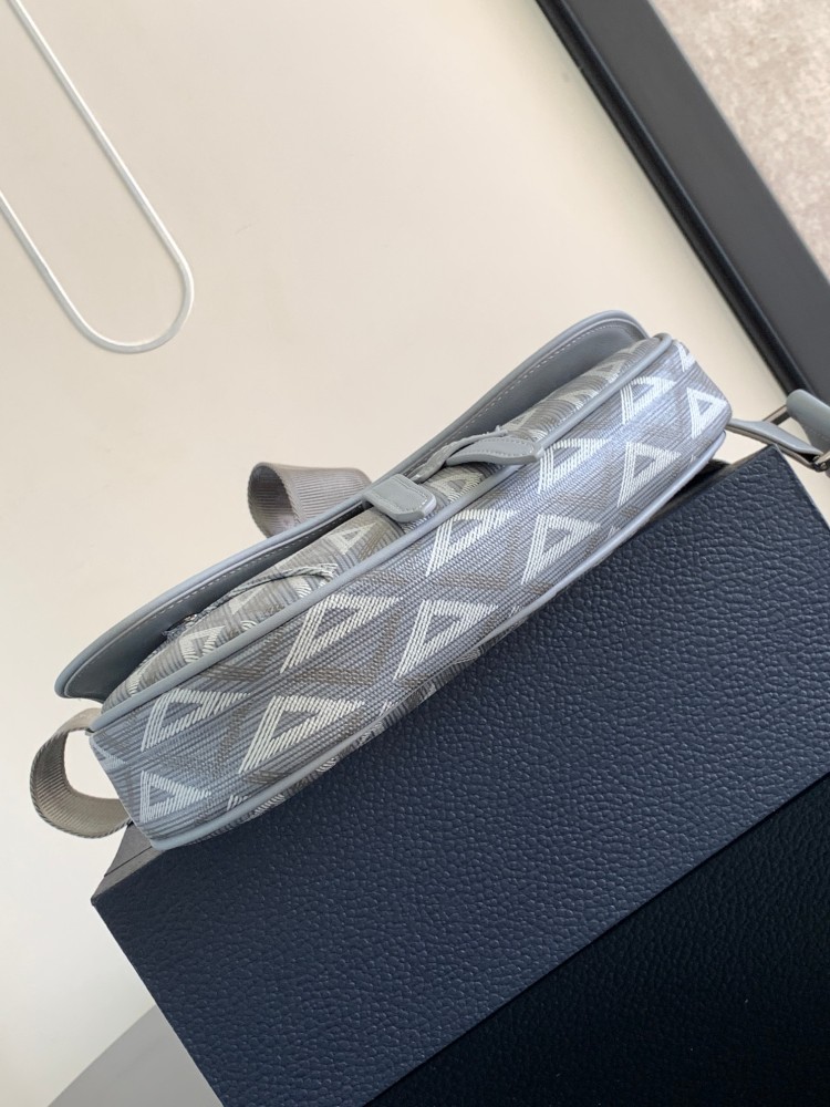 Dior manbag