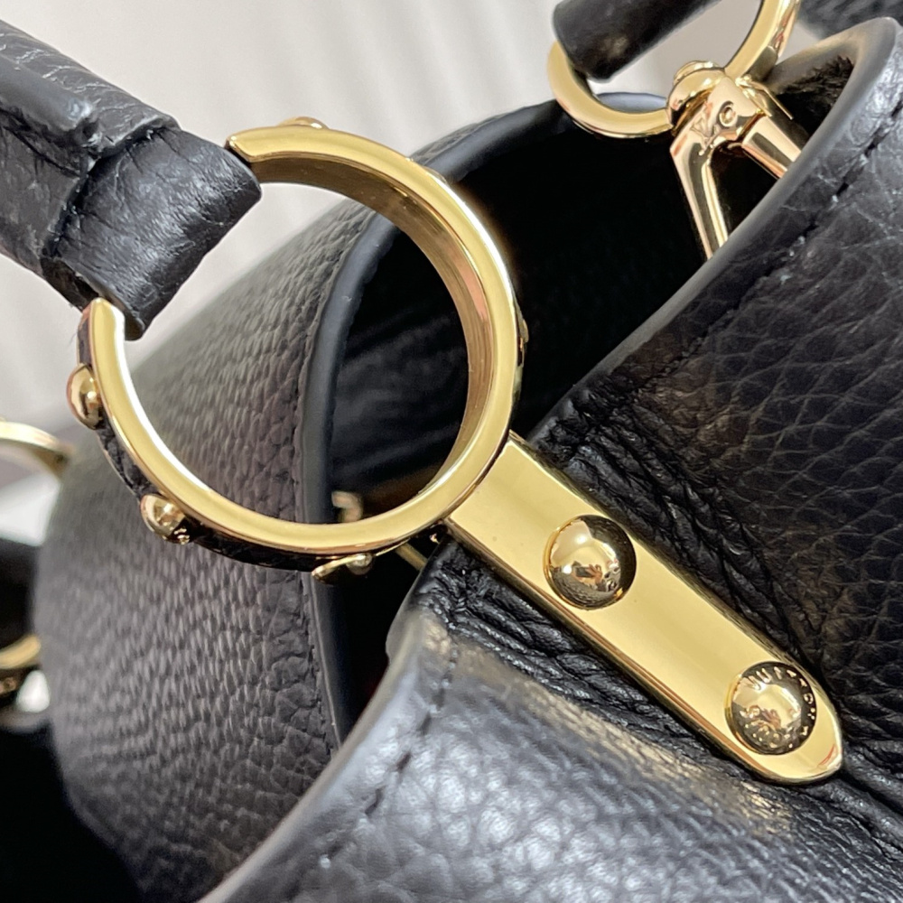 Louis Vuitton Capucines mini M42259